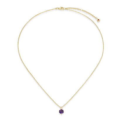 N10348FEBY - Birthstone with Lab-Grown Diamond Accent Necklace | elle