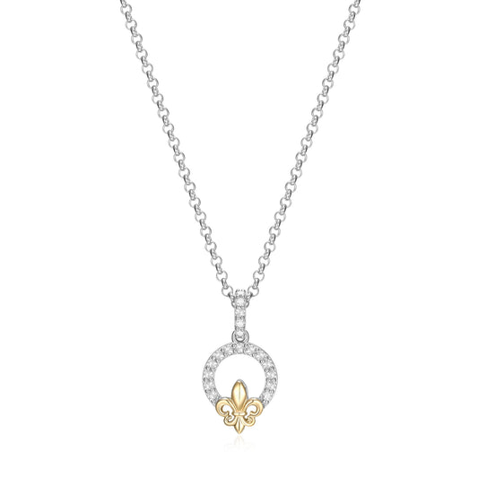 CN0085 | charles garnier