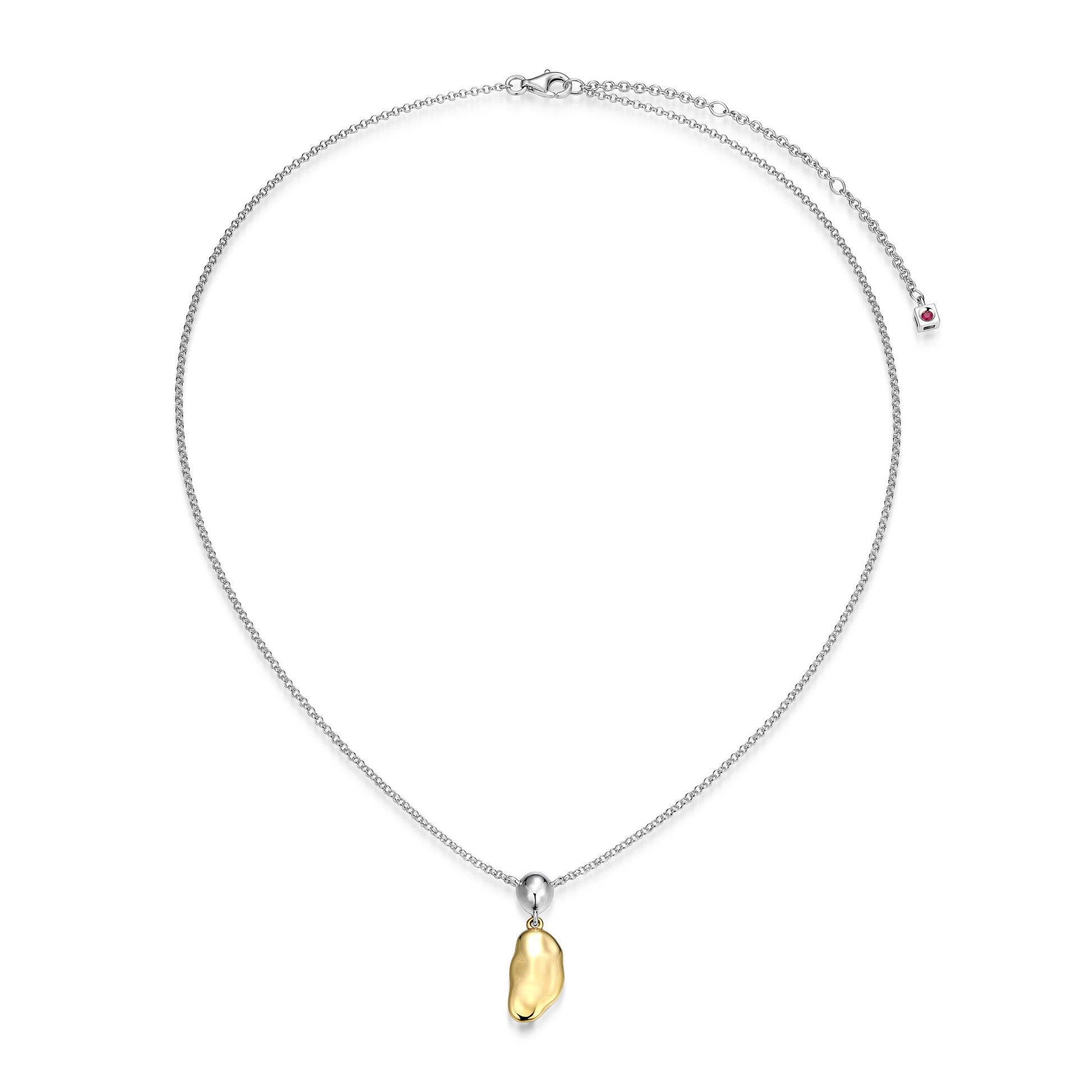 LN0273 - Aurelia Two-Tone Necklace | elle