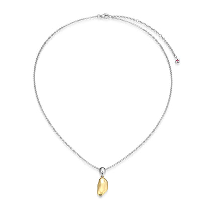 LN0273 - Aurelia Two-Tone Necklace | elle