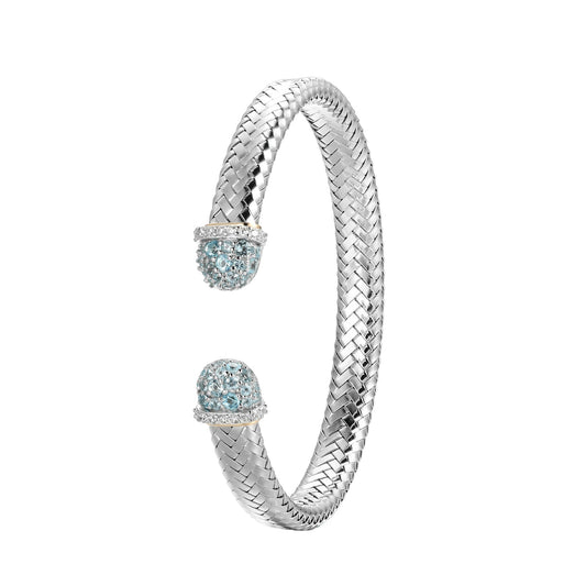 SC3560 | charles garnier