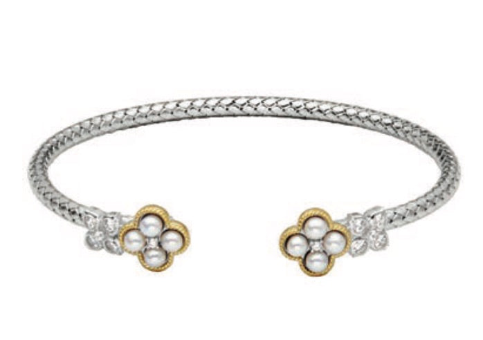 SC3577 | charles garnier