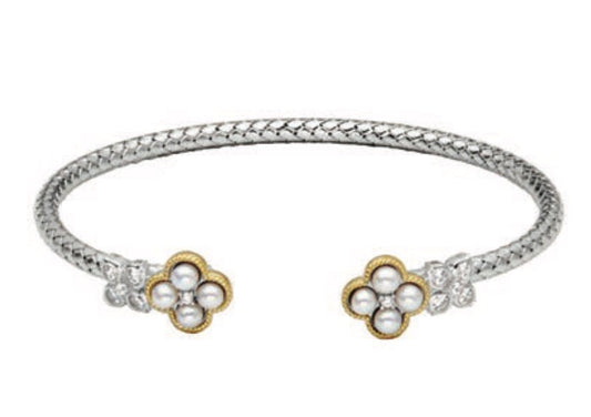 SC3577 | charles garnier