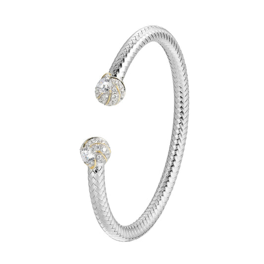 CB0070 | charles garnier