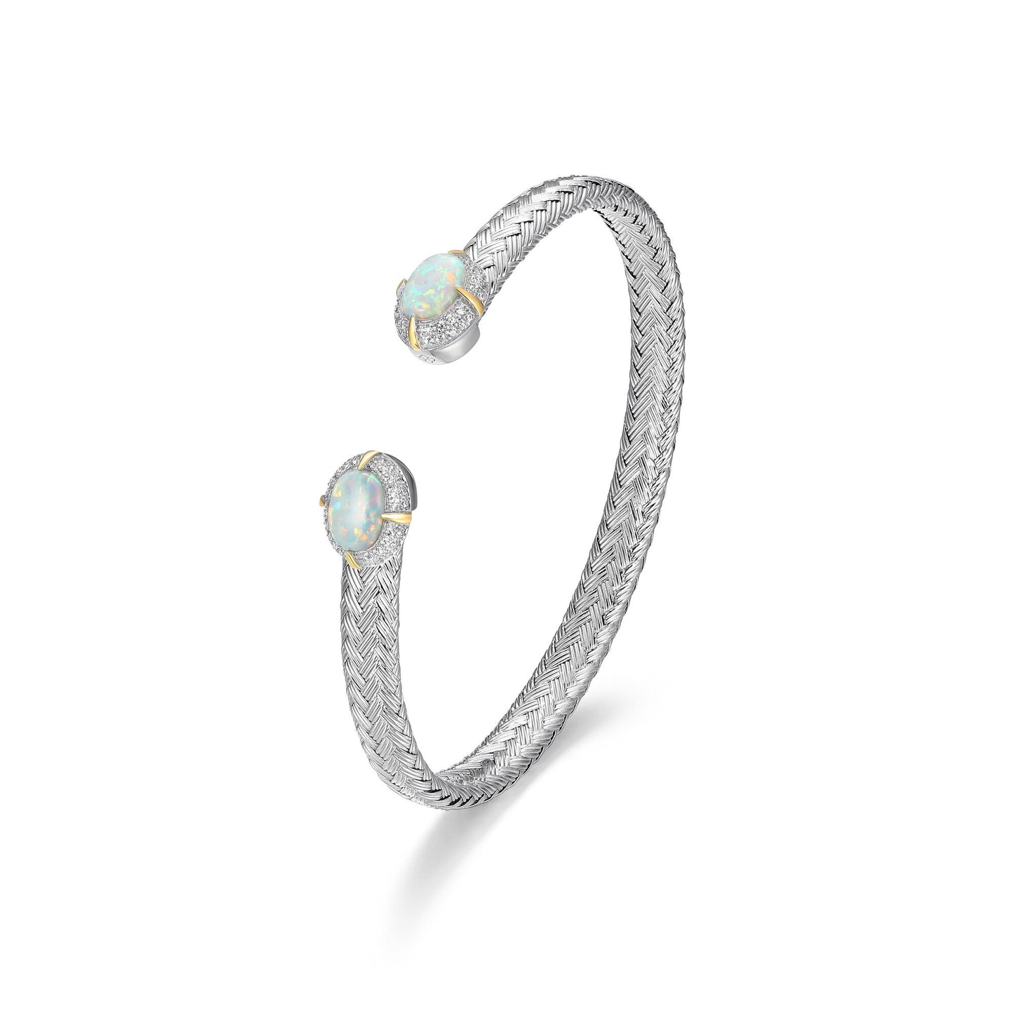 CB0081 | charles garnier