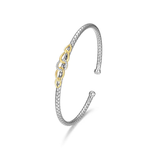 CB0088 | charles garnier