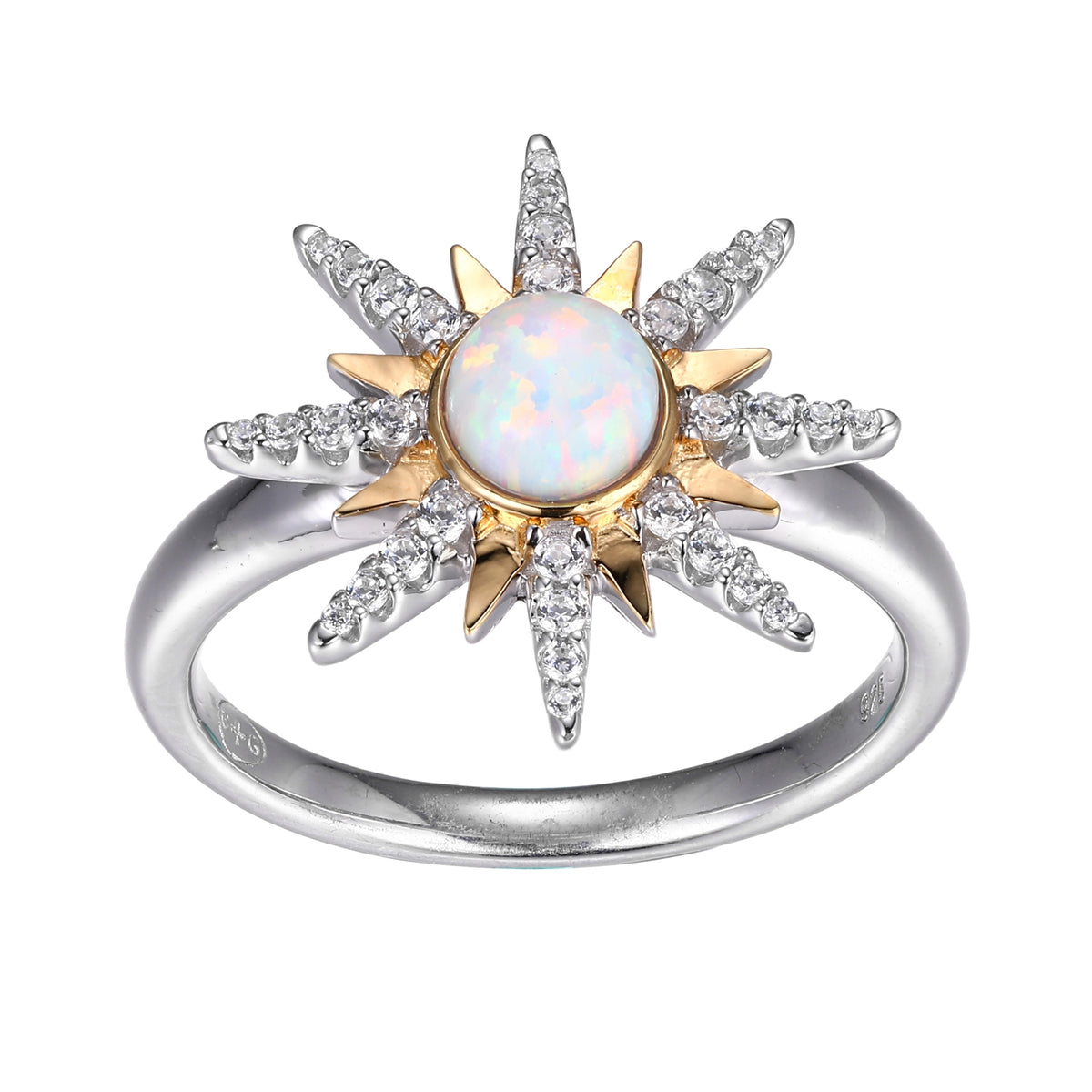 SXR3461WOP | charles garnier