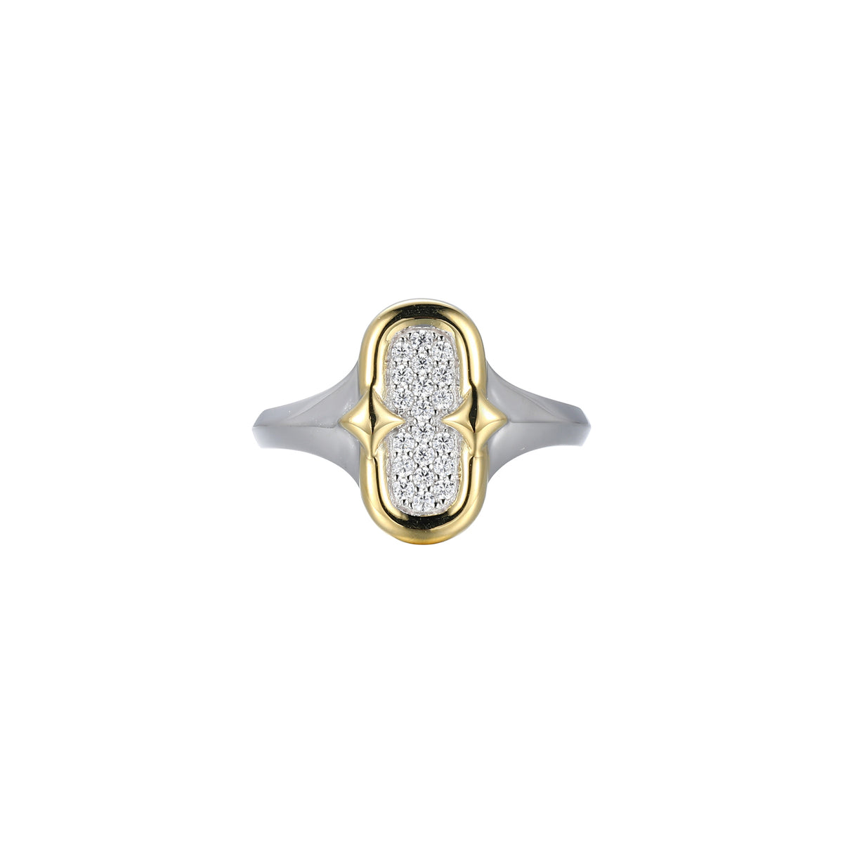 SXR3539 | charles garnier