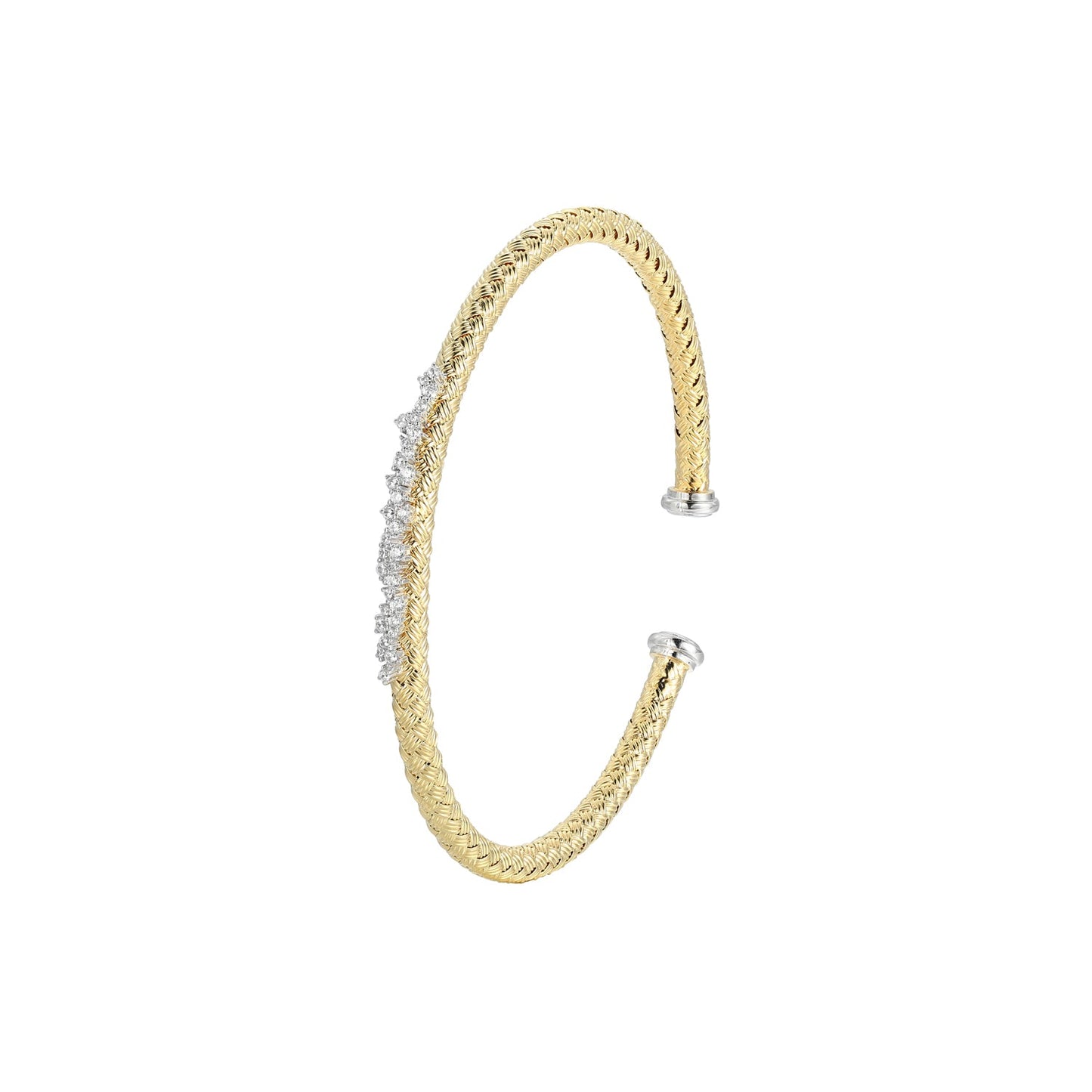 CB0030 | charles garnier