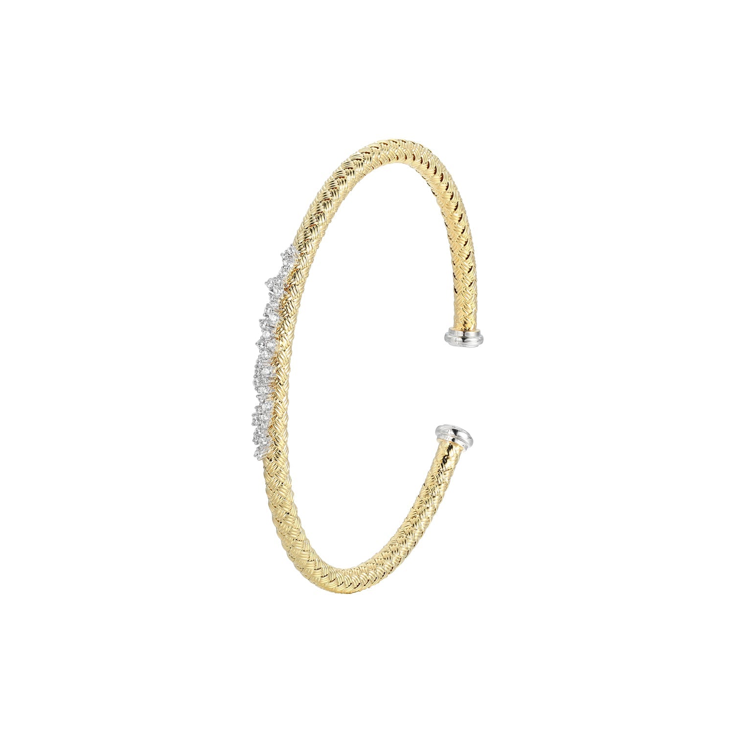 CB0030 | charles garnier