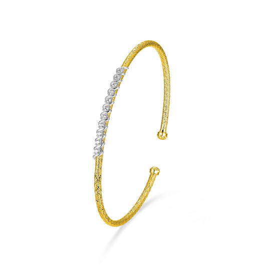 CB0098 | charles garnier