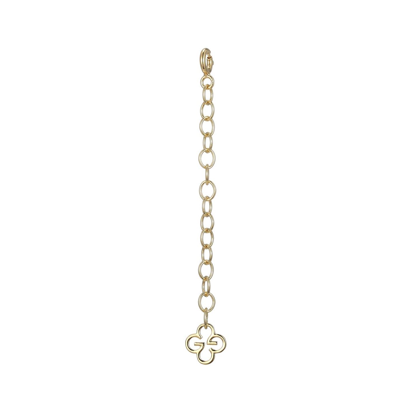 Z0005Y | charles garnier