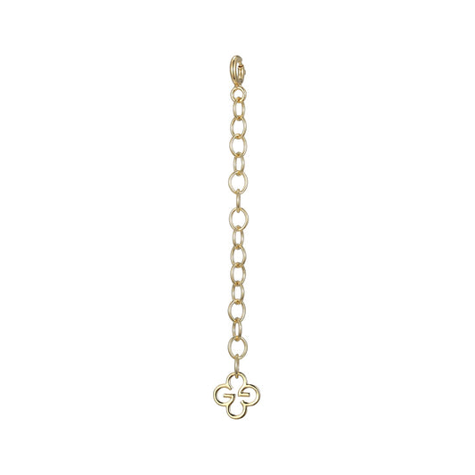 Z0005Y | charles garnier