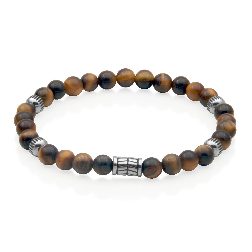 T1XF550183 | Steelx