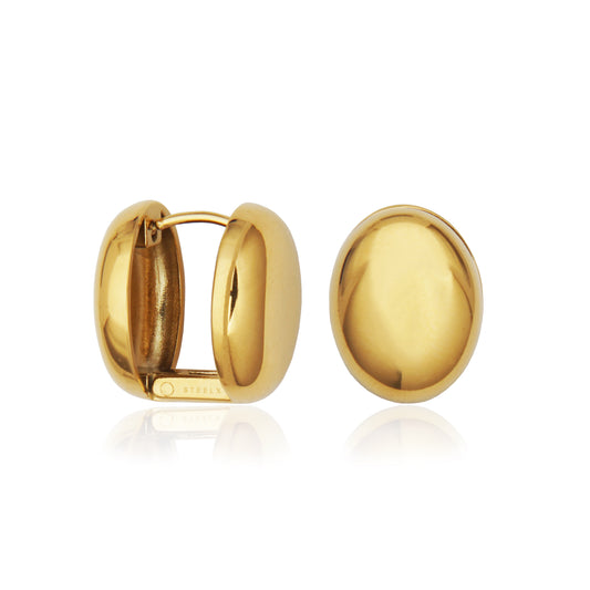 T2XJ490200 - steelx Earrings | steelx