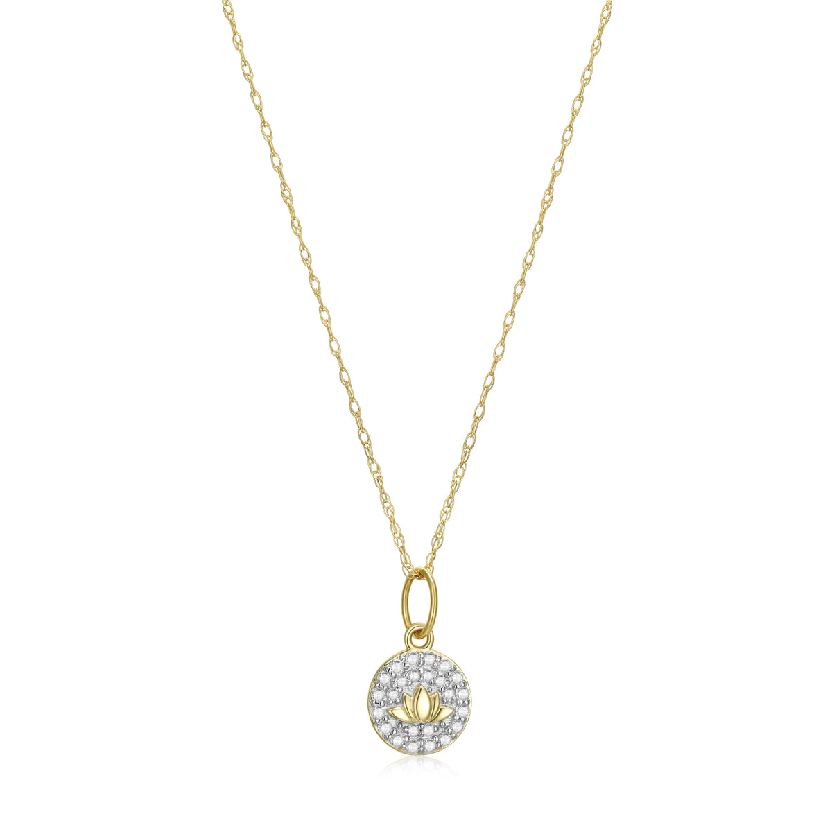 SN3508 | charles garnier