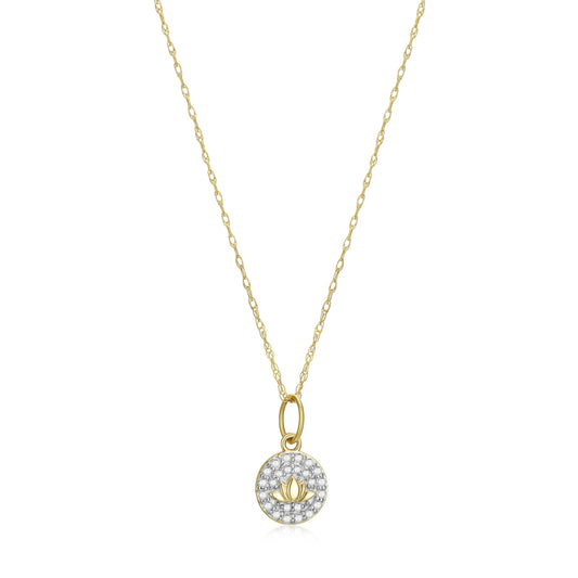 SN3508 | charles garnier